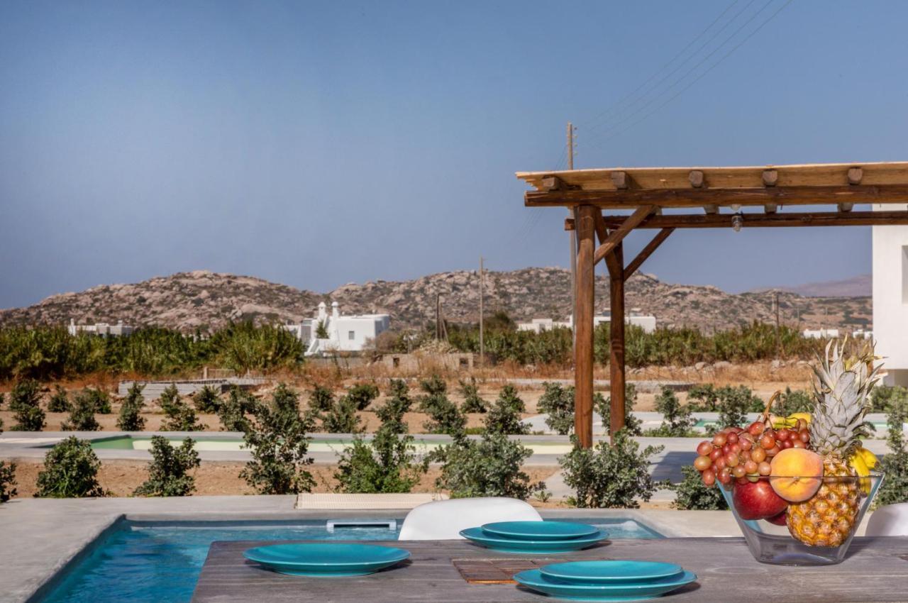 Bamboo Villa Naxos Mikri Vigla Dış mekan fotoğraf