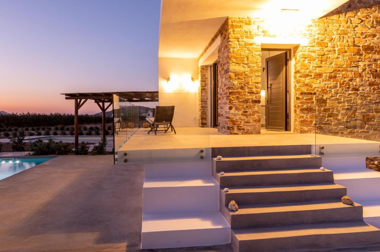 Bamboo Villa Naxos Mikri Vigla Dış mekan fotoğraf